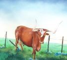 ARTIST JUNE HARDIN  Oil Painting