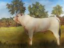 I painted this one in OILS  ARTIST JUNE HARDIN